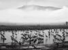Filename=i_108.jpg
Filesize=24KB
Dimensions=427x320
Date added=Dec 03, 2018 i_108.jpg