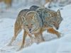 Filename=i_161.jpg
Filesize=26KB
Dimensions=426x320
Date added=Dec 03, 2018 i_161.jpg