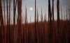 Filename=i_023.jpg
Filesize=32KB
Dimensions=480x301
Date added=Dec 03, 2018 i_023.jpg