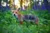 Filename=i_032.jpg
Filesize=39KB
Dimensions=480x320
Date added=Dec 03, 2018 i_032.jpg