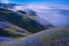 Filename=i_039.jpg
Filesize=33KB
Dimensions=480x318
Date added=Dec 03, 2018 i_039.jpg