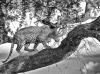 Filename=i_051.jpg
Filesize=55KB
Dimensions=427x320
Date added=Dec 03, 2018 i_051.jpg
