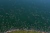 Filename=i_059.jpg
Filesize=32KB
Dimensions=480x315
Date added=Dec 03, 2018 i_059.jpg