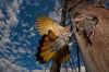 Filename=i_139.jpg
Filesize=41KB
Dimensions=480x320
Date added=Dec 03, 2018 i_139.jpg