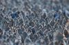 Filename=i_149.jpg
Filesize=33KB
Dimensions=480x320
Date added=Dec 03, 2018 i_149.jpg