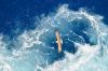 Filename=i_220.jpg
Filesize=39KB
Dimensions=480x318
Date added=Dec 03, 2018 i_220.jpg