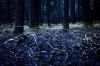 Filename=i_223.jpg
Filesize=47KB
Dimensions=480x320
Date added=Dec 03, 2018 i_223.jpg