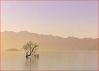 Filename=i_264.jpg
Filesize=9KB
Dimensions=448x320
Date added=Dec 03, 2018 i_264.jpg