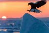 Filename=i_267.jpg
Filesize=14KB
Dimensions=477x320
Date added=Dec 03, 2018 i_267.jpg