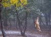 Filename=i_278.jpg
Filesize=36KB
Dimensions=427x320
Date added=Dec 03, 2018 i_278.jpg