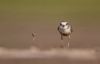Filename=i_003.jpg
Filesize=5KB
Dimensions=480x309
Date added=Dec 03, 2018 i_003.jpg