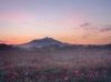 Filename=i_022.jpg
Filesize=18KB
Dimensions=427x320
Date added=Dec 03, 2018 i_022.jpg