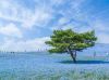 Filename=i_065.jpg
Filesize=33KB
Dimensions=427x320
Date added=Dec 03, 2018 i_065.jpg