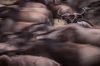 Filename=i_074.jpg
Filesize=17KB
Dimensions=480x320
Date added=Dec 03, 2018 i_074.jpg