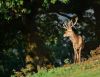 Filename=i_092.jpg
Filesize=30KB
Dimensions=414x320
Date added=Dec 03, 2018 i_092.jpg