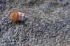 Filename=i_149.jpg
Filesize=67KB
Dimensions=480x320
Date added=Dec 03, 2018 i_149.jpg