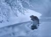 Filename=i_179.jpg
Filesize=19KB
Dimensions=427x320
Date added=Dec 03, 2018 i_179.jpg