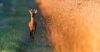 Filename=i_193.jpg
Filesize=18KB
Dimensions=480x253
Date added=Dec 03, 2018 i_193.jpg