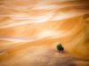 Filename=i_204.jpg
Filesize=13KB
Dimensions=427x320
Date added=Dec 03, 2018 i_204.jpg