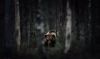 Filename=i_273.jpg
Filesize=12KB
Dimensions=480x286
Date added=Dec 03, 2018 i_273.jpg