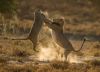 Filename=i_254.jpg
Filesize=28KB
Dimensions=439x320
Date added=Dec 03, 2018 i_254.jpg