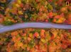 Filename=i_005.jpg
Filesize=46KB
Dimensions=427x320
Date added=Dec 03, 2018 i_005.jpg