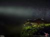 Filename=i_014.jpg
Filesize=13KB
Dimensions=427x320
Date added=Dec 03, 2018 i_014.jpg
