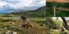 Filename=i_017.jpg
Filesize=39KB
Dimensions=400x200
Date added=Dec 03, 2018 i_017.jpg
