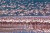 Filename=i_037.jpg
Filesize=49KB
Dimensions=480x320
Date added=Dec 03, 2018 i_037.jpg