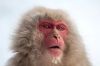 Filename=i_051.jpg
Filesize=20KB
Dimensions=480x318
Date added=Dec 03, 2018 i_051.jpg