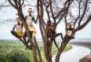 Filename=i_078.jpg
Filesize=42KB
Dimensions=467x320
Date added=Dec 03, 2018 i_078.jpg