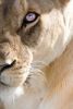 Filename=i_081.jpg
Filesize=15KB
Dimensions=215x320
Date added=Dec 03, 2018 i_081.jpg