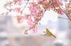 Filename=i_192.jpg
Filesize=23KB
Dimensions=480x320
Date added=Dec 03, 2018 i_192.jpg