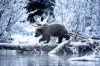 Filename=i_257.jpg
Filesize=45KB
Dimensions=480x320
Date added=Dec 03, 2018 i_257.jpg