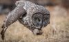 Filename=i_286.jpg
Filesize=28KB
Dimensions=480x298
Date added=Dec 03, 2018 i_286.jpg
