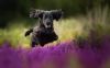 Filename=i_021.jpg
Filesize=17KB
Dimensions=480x300
Date added=Dec 03, 2018 i_021.jpg
