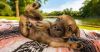 Filename=i_035.jpg
Filesize=31KB
Dimensions=480x252
Date added=Dec 03, 2018 i_035.jpg