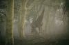 Filename=i_038.jpg
Filesize=23KB
Dimensions=480x318
Date added=Dec 03, 2018 i_038.jpg