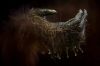 Filename=i_044.jpg
Filesize=18KB
Dimensions=480x320
Date added=Dec 03, 2018 i_044.jpg