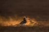 Filename=i_063.jpg
Filesize=12KB
Dimensions=480x320
Date added=Dec 03, 2018 i_063.jpg