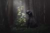 Filename=i_088.jpg
Filesize=10KB
Dimensions=480x320
Date added=Dec 03, 2018 i_088.jpg