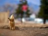 Filename=i_108.jpg
Filesize=18KB
Dimensions=427x320
Date added=Dec 03, 2018 i_108.jpg