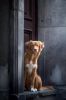 Filename=i_138.jpg
Filesize=10KB
Dimensions=213x320
Date added=Dec 03, 2018 i_138.jpg