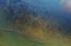 Filename=i_152.jpg
Filesize=31KB
Dimensions=480x320
Date added=Dec 03, 2018 i_152.jpg