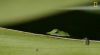Filename=i_166.jpg
Filesize=12KB
Dimensions=480x267
Date added=Dec 03, 2018 i_166.jpg