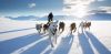 Filename=i_175.jpg
Filesize=18KB
Dimensions=480x236
Date added=Dec 03, 2018 i_175.jpg