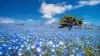 Filename=i_183.jpg
Filesize=37KB
Dimensions=480x270
Date added=Dec 03, 2018 i_183.jpg