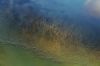 Filename=i_188.jpg
Filesize=28KB
Dimensions=480x320
Date added=Dec 03, 2018 i_188.jpg