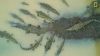 Filename=i_195.jpg
Filesize=22KB
Dimensions=480x270
Date added=Dec 03, 2018 i_195.jpg