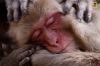 Filename=i_264.jpg
Filesize=29KB
Dimensions=480x320
Date added=Dec 03, 2018 i_264.jpg
